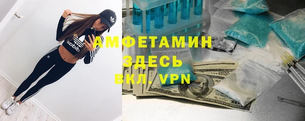мдпв Инта