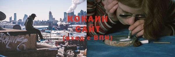 мдпв Инта