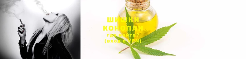 мдпв Инта