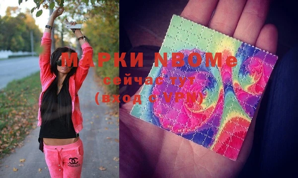 мдпв Инта