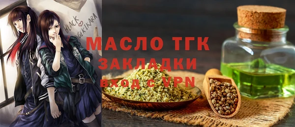 мдпв Инта