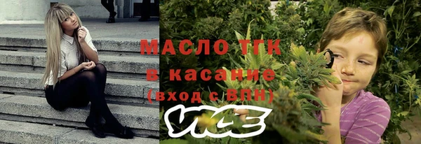 мдпв Инта