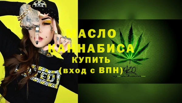 мдпв Инта