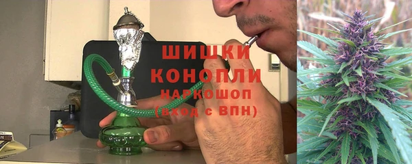 мдпв Инта